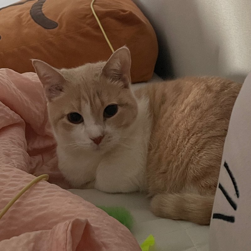 한혜리/내시경실⭐️ profile