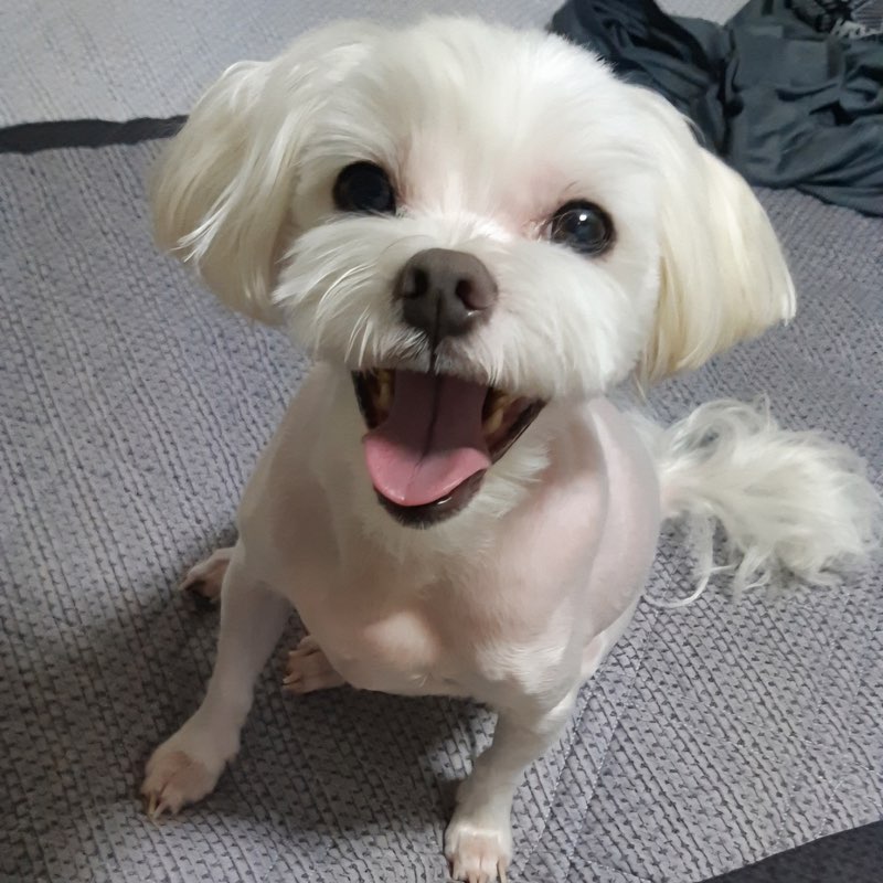 수지