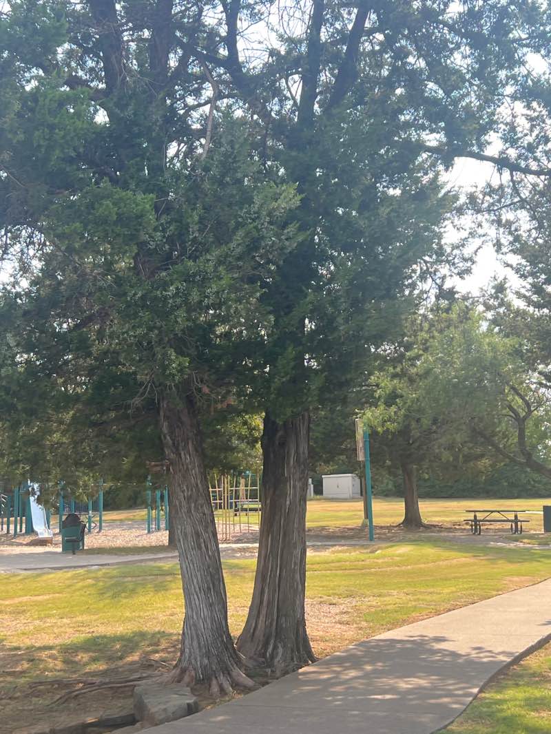walking near me in Friendship Park in autumn