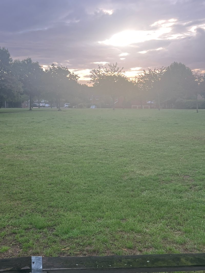 walking near me in Gladding Road Open Space in autumn
