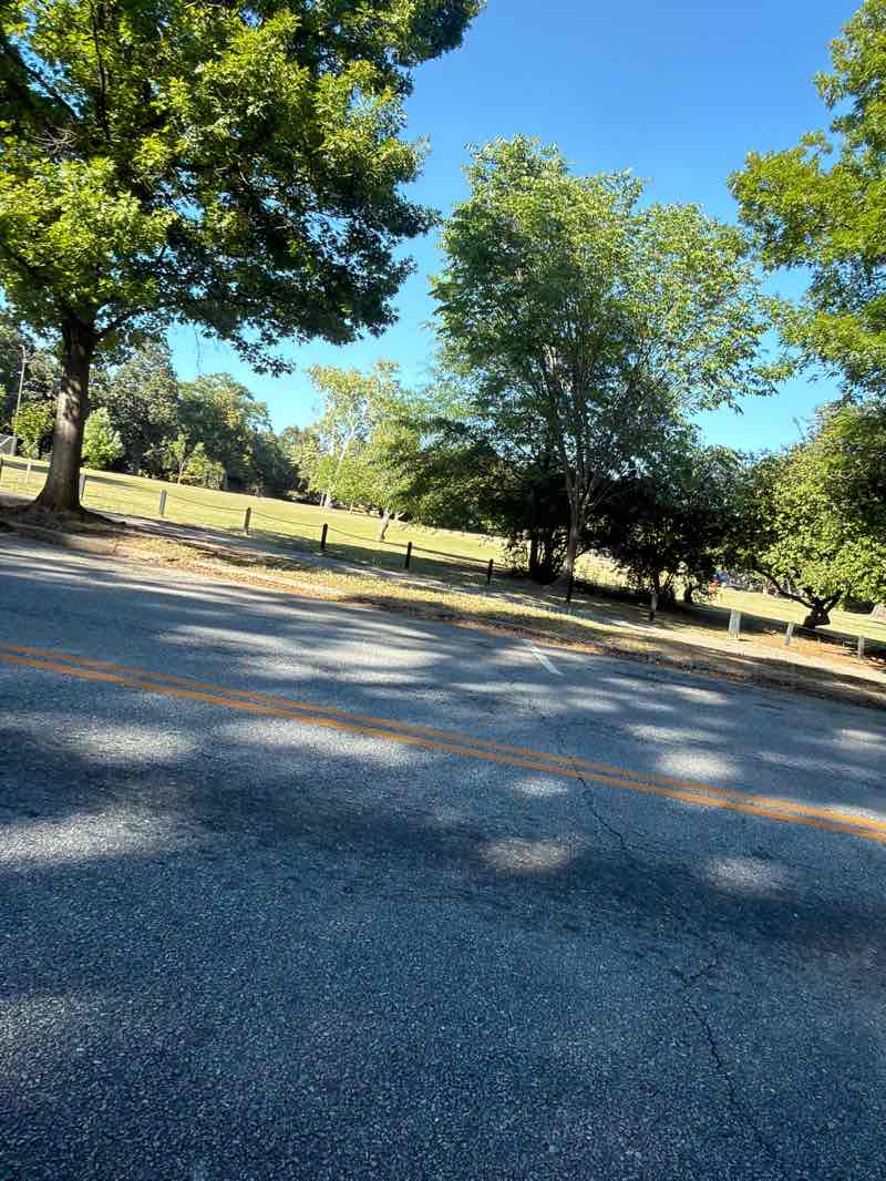 walking near me in Tattnall Square in spring