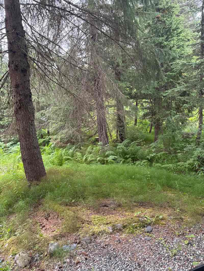 walking near me in Girdwood Park in autumn