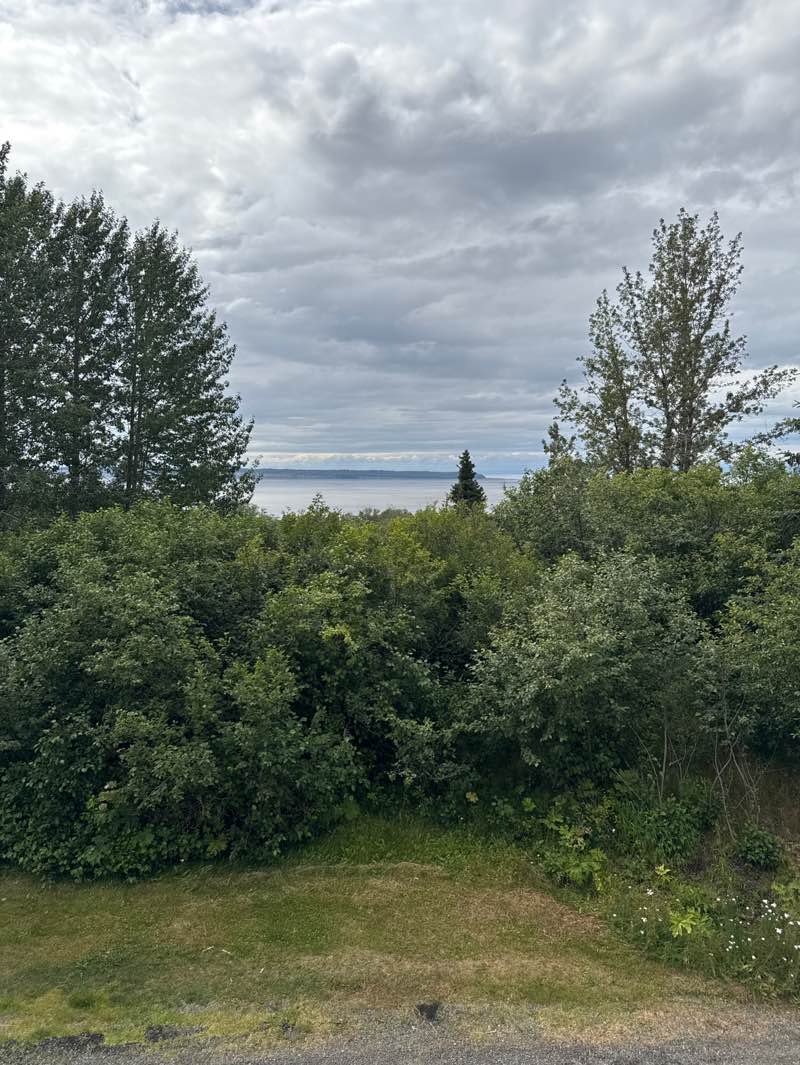 walking near me in Kincaid Park in summer