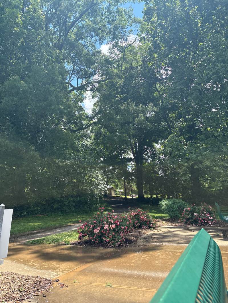 walking near me in Veterans Park in spring