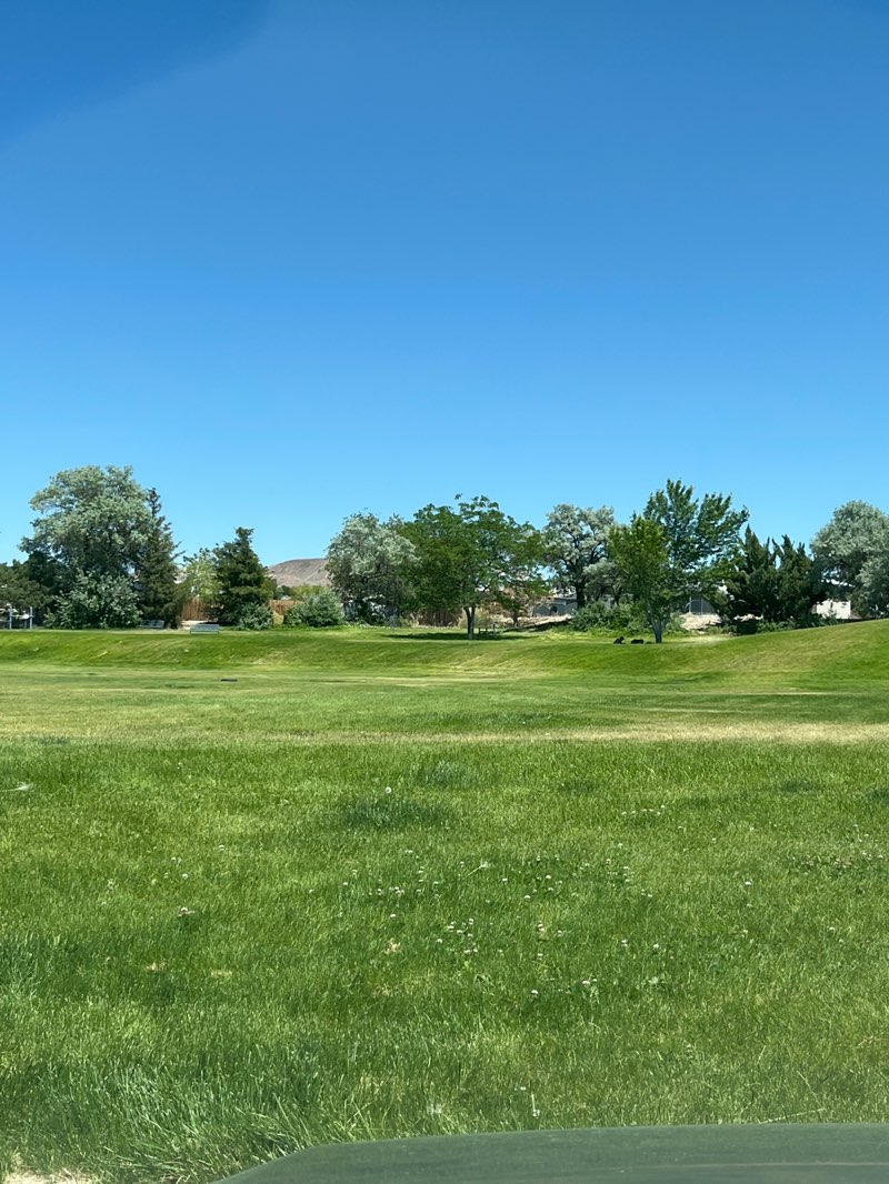 walking near me in Highland Park in summer