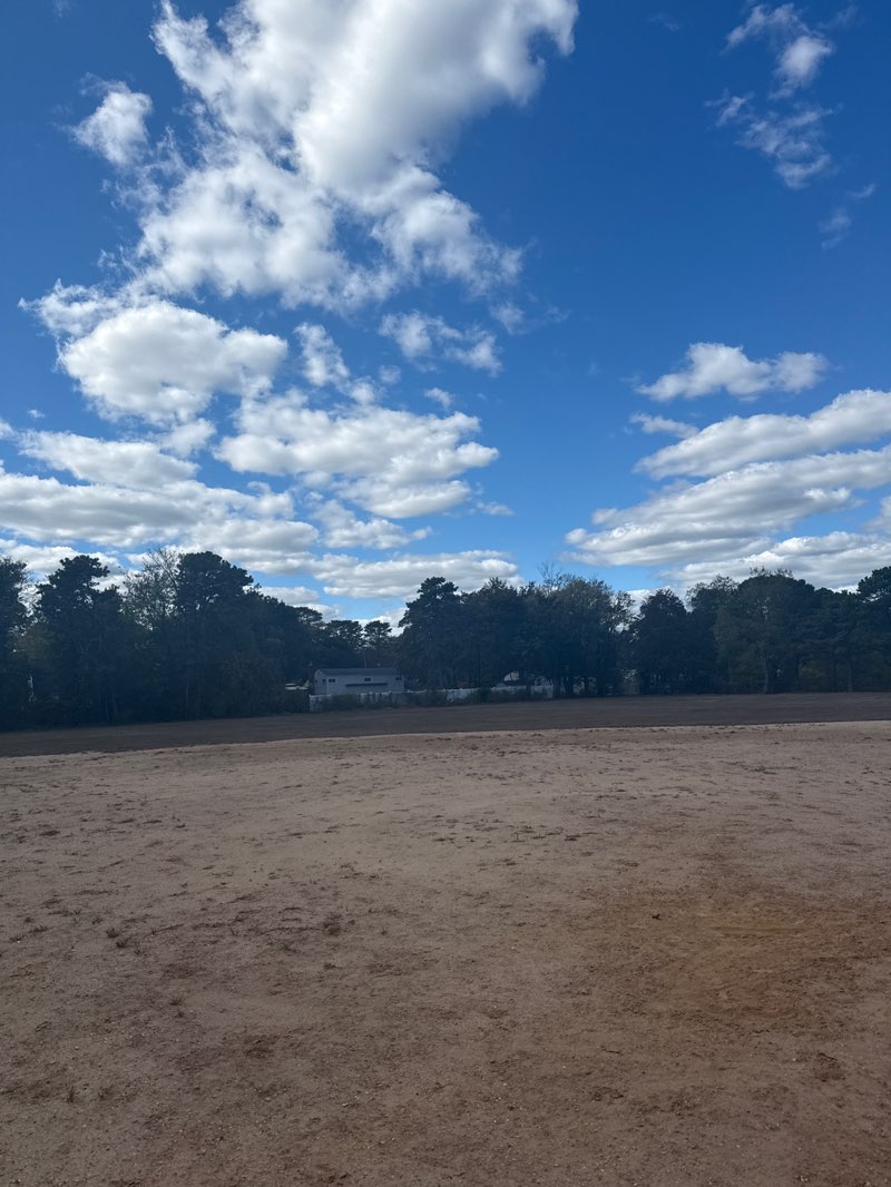 walking near me in Clarissa Drive Park - Town of Islip in autumn