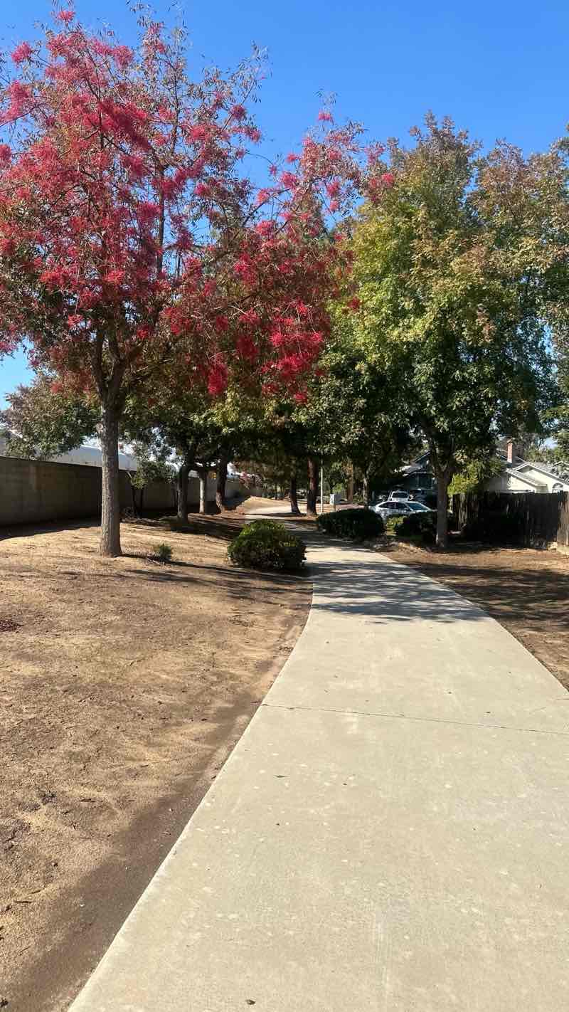 walking near me in Logan Park in autumn