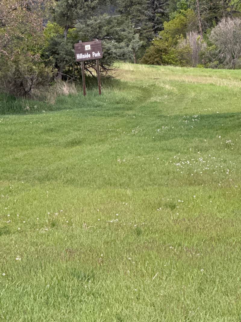 walking near me in Hillside Park in spring
