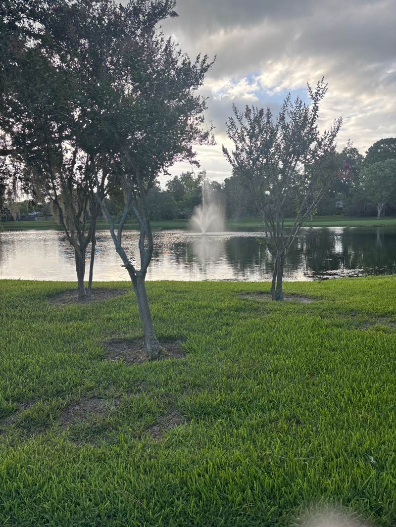walking near me in Wekiva Hills Park in summer