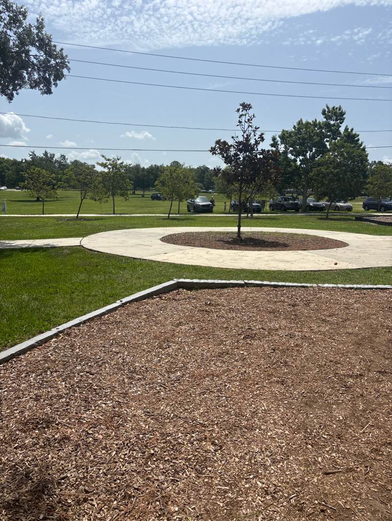 walking near me in Kit Land Nelson Park in summer