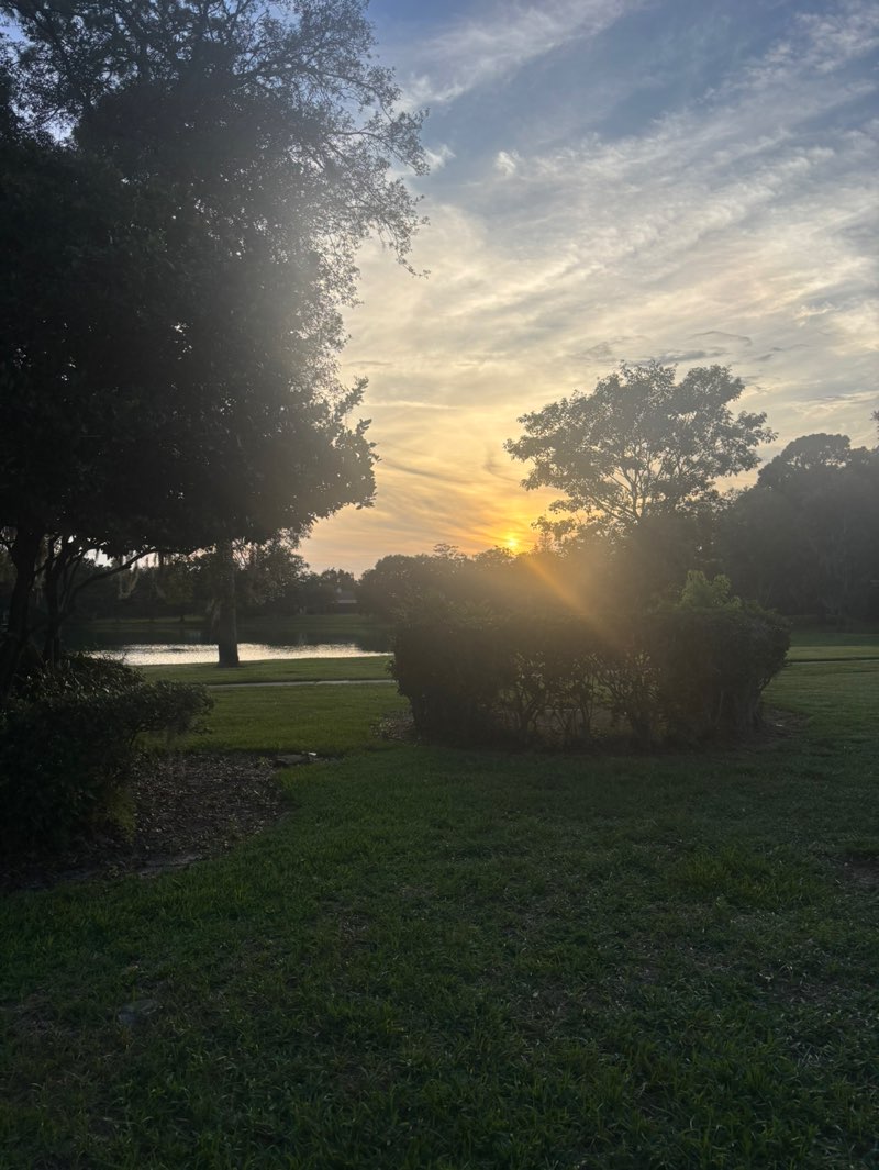 walking near me in Wekiva Hills Park in summer