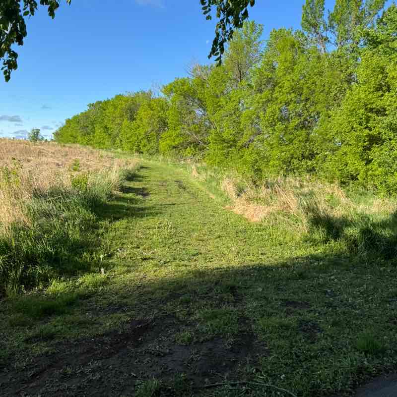 Julie Muraski post 1