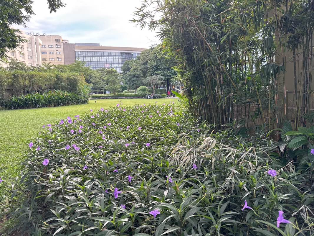 walking near me in Capitol Commons Park in autumn