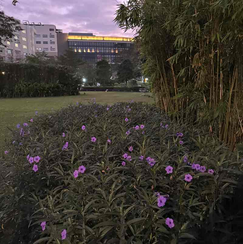 🐥🍒 MITCH 🐥🍒 post 1