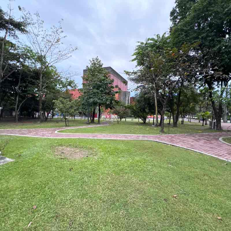 🐥🍒 MITCH 🐥🍒 post 1