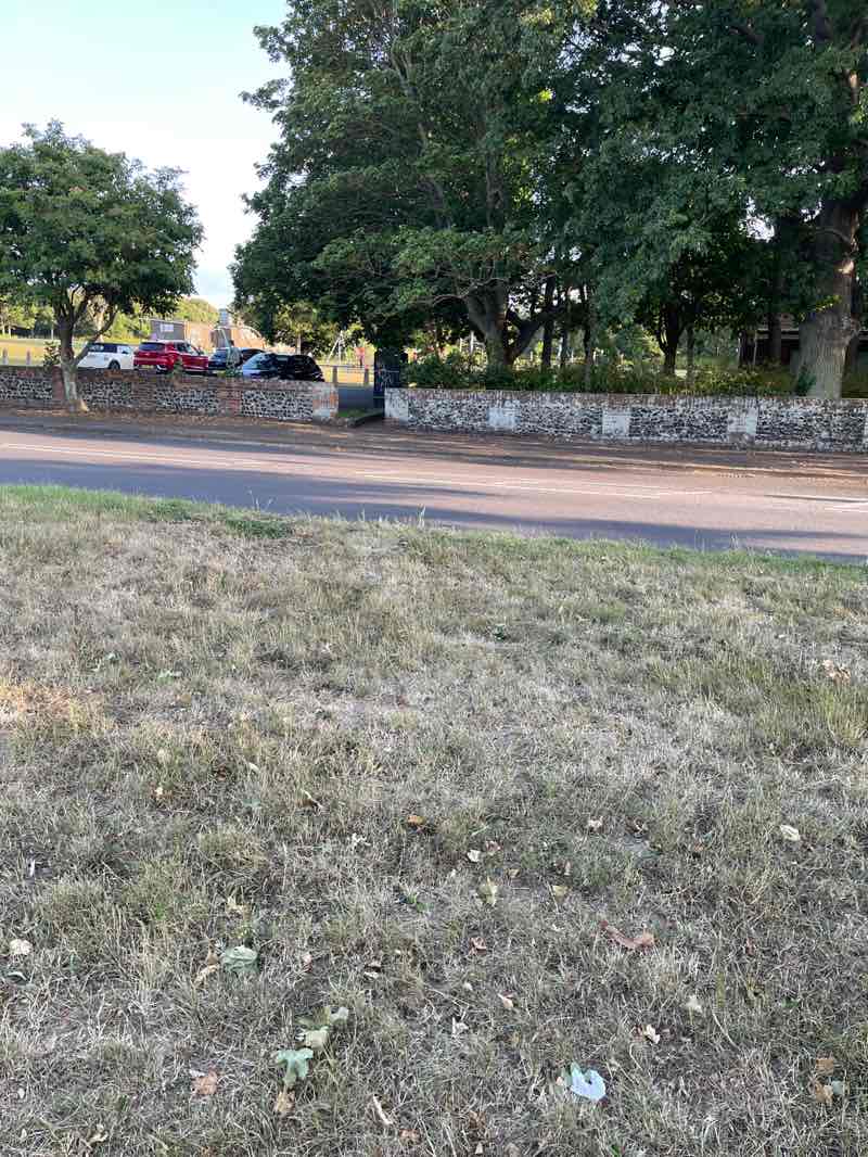 walking near me in Northdown Park in summer