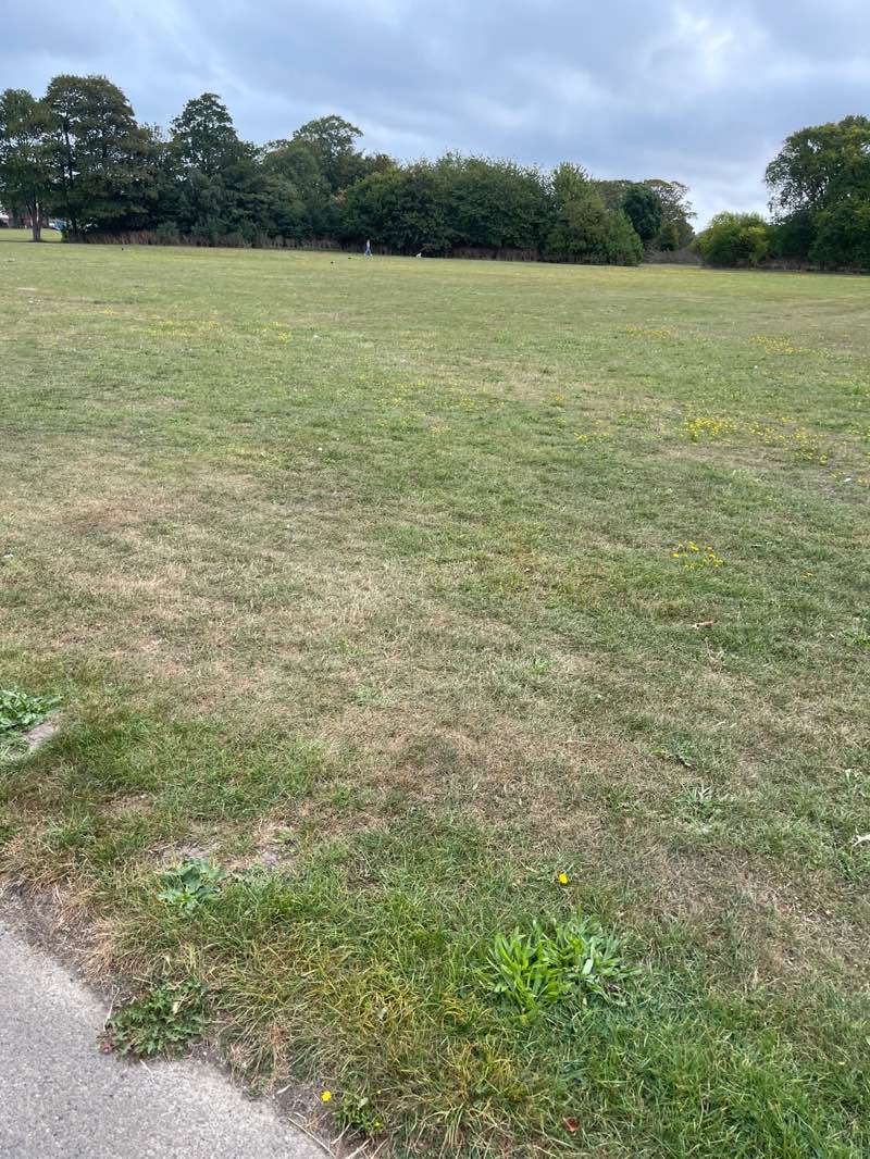 walking near me in Hartsdown Park in autumn