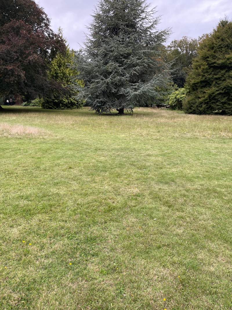 walking near me in Quex Park in autumn