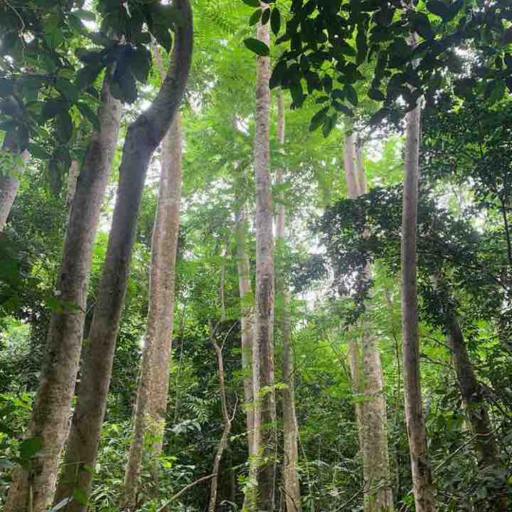 Larweh Manuel post 3