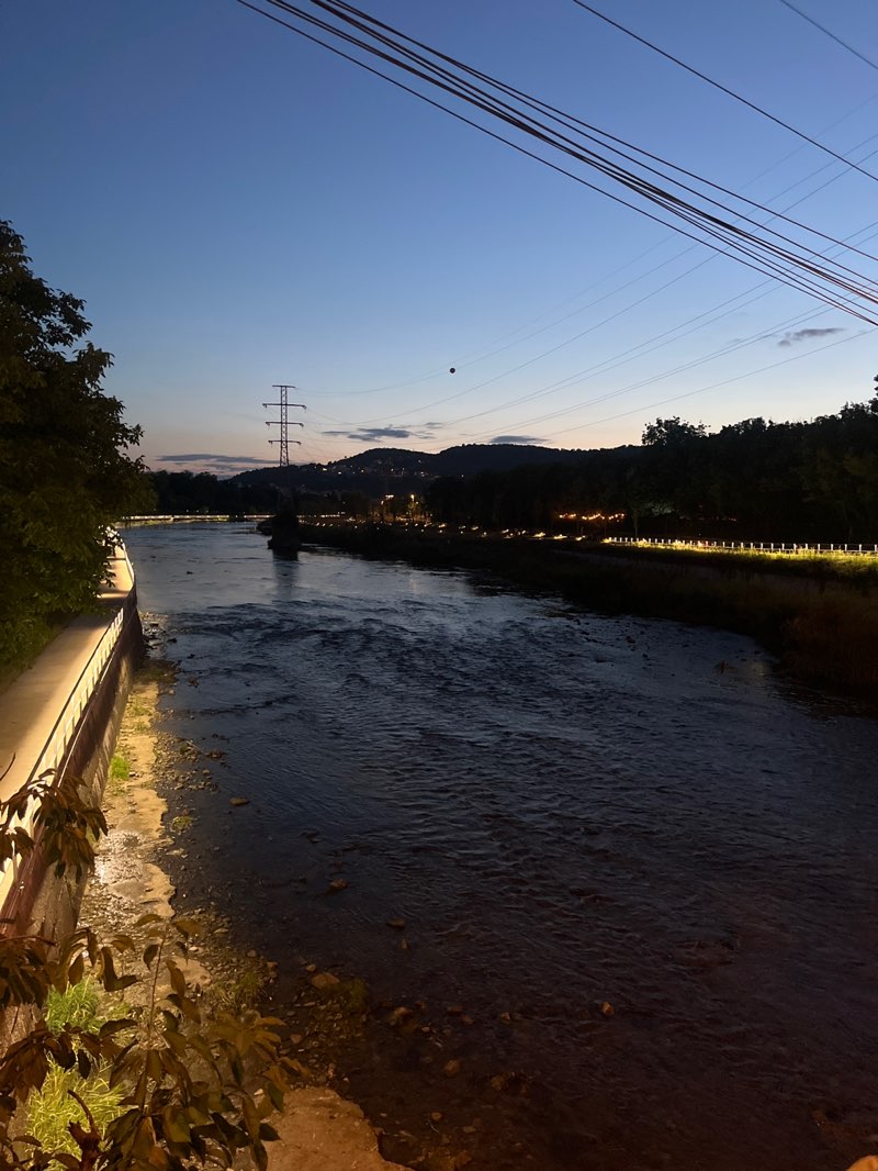 walking near me in Rose Park in summer