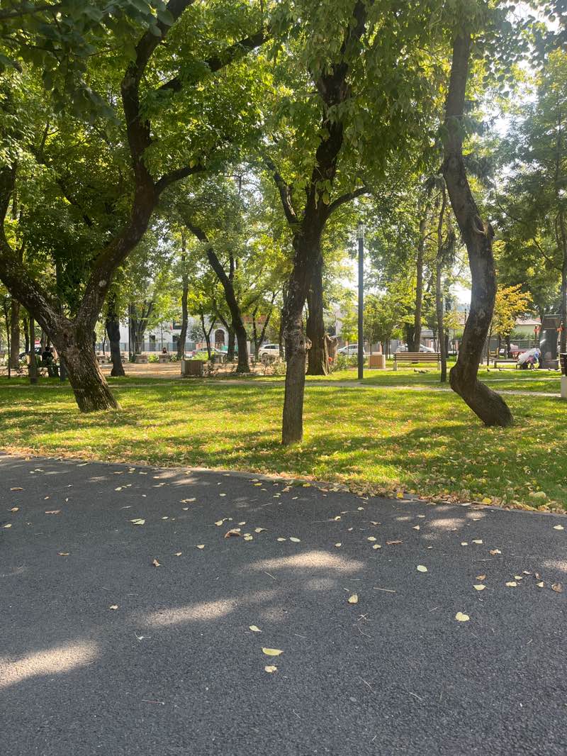 walking near me in 14th of July Square in autumn