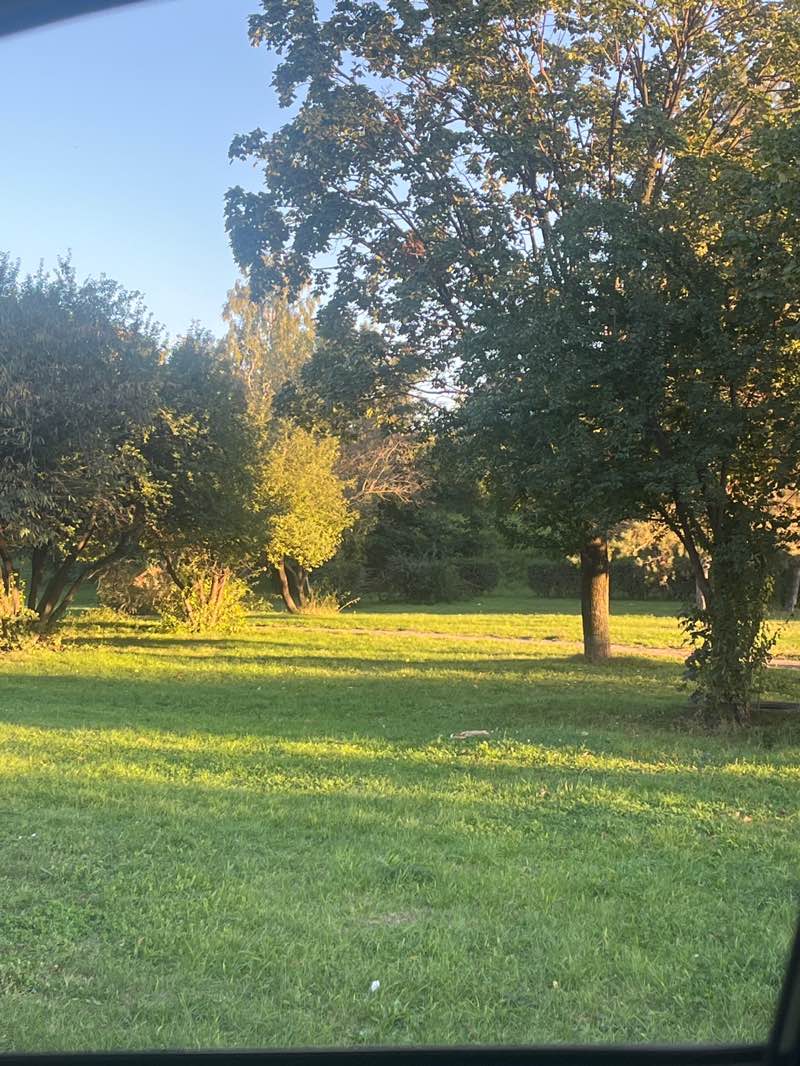 walking near me in Parcul Aurel Vlaicu in autumn