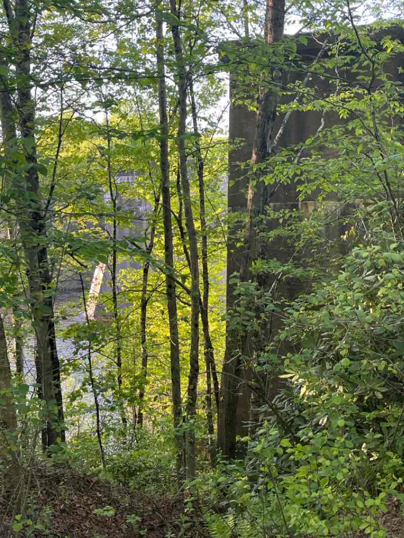 walking near me in Lehigh Gorge State Park in spring
