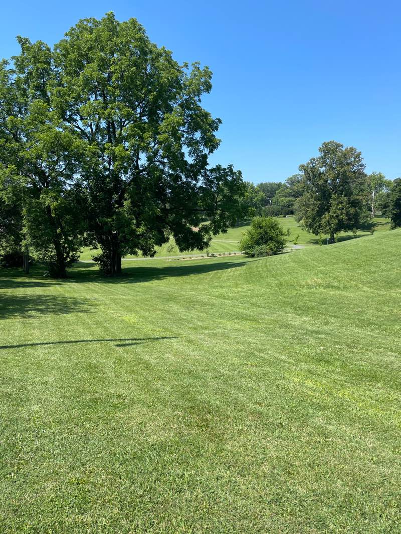 walking near me in Kiwanis Club Park in summer