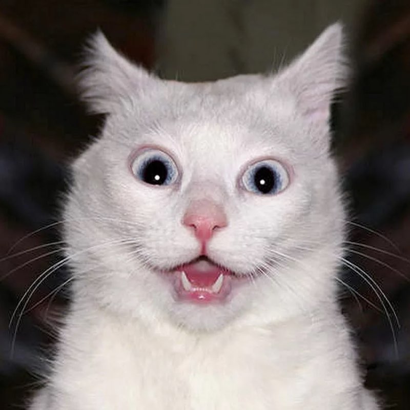 ППР-челлендж Владислав post image