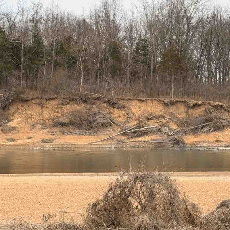 luv2dance5168 post 1