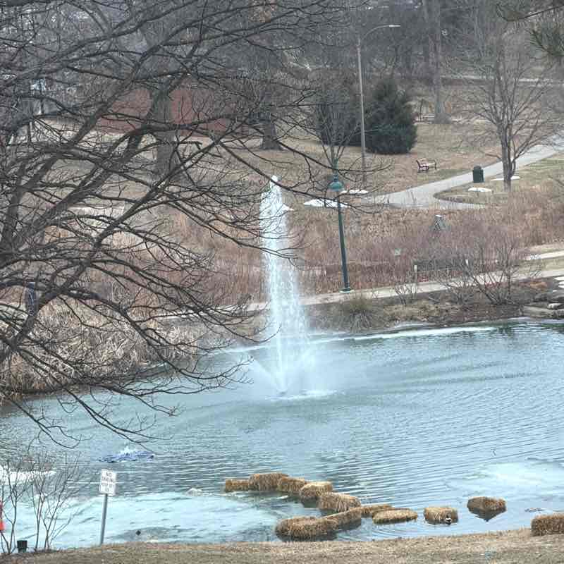 luv2dance5168 post 1