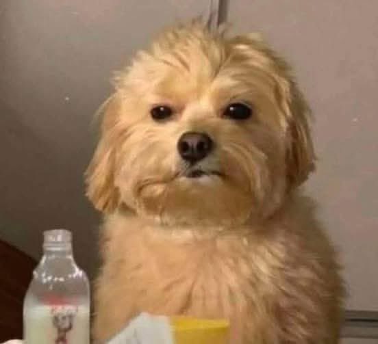 Karla Vicente profile