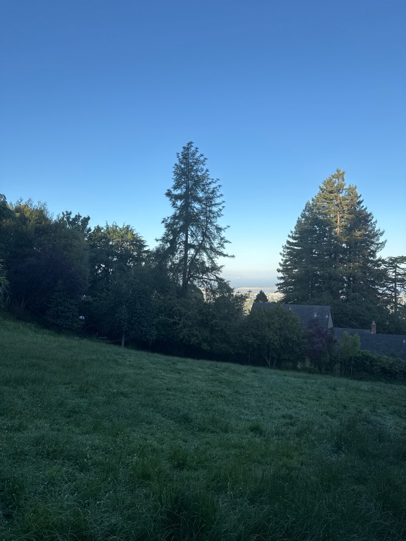 walking near me in Cragmont Park in spring