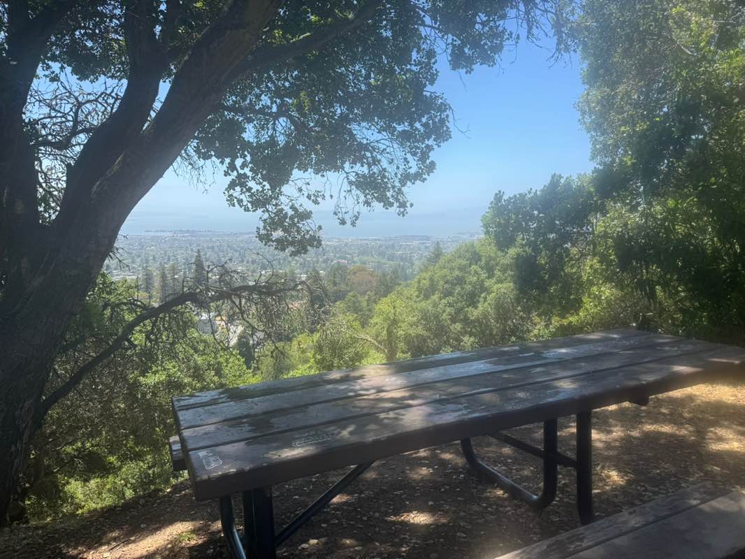 walking near me in Glendale - La Loma Park in spring