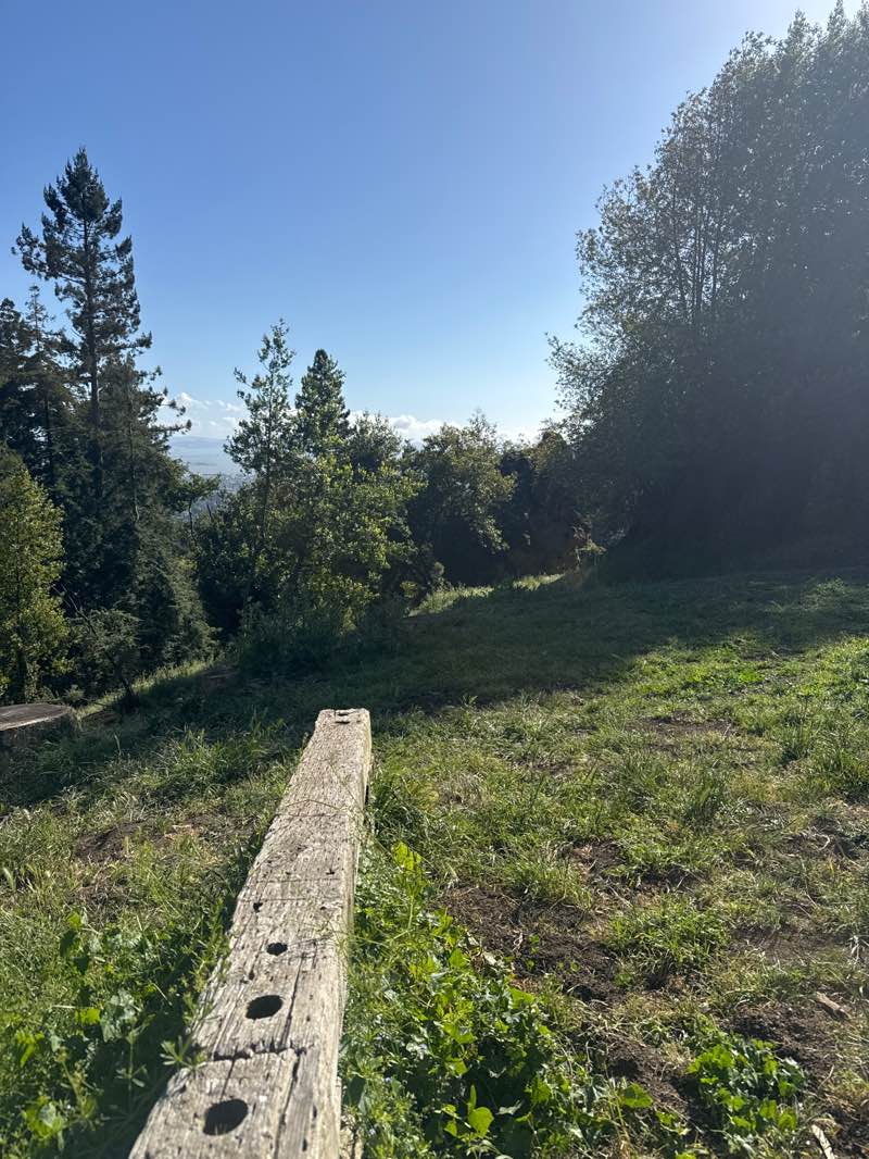 walking near me in Remillard Park in spring