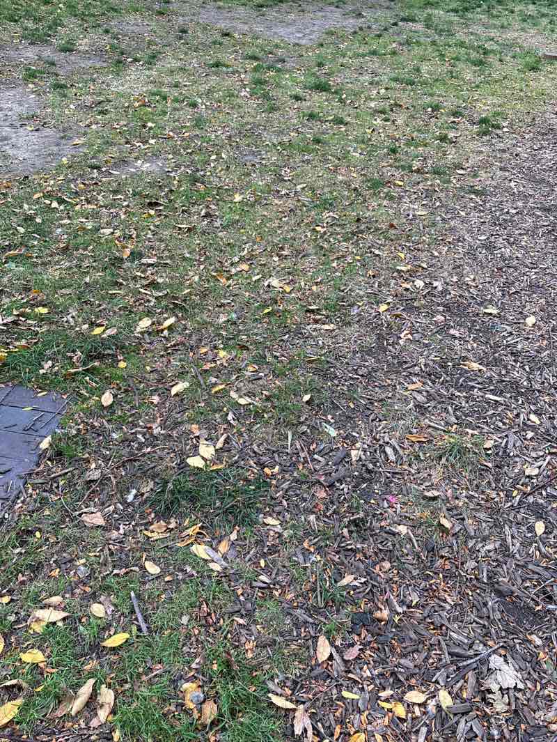 walking near me in Lake Shore Park in autumn