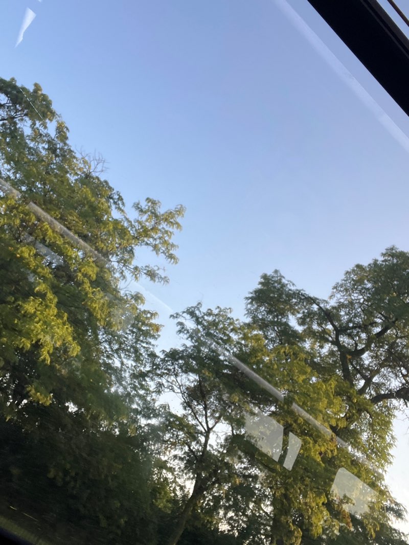 walking near me in Anna and Frederick Douglass Park in autumn