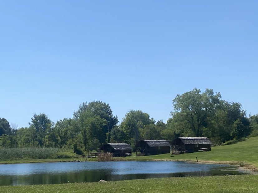 walking near me in Streetsboro / Cleveland SE KOA in summer