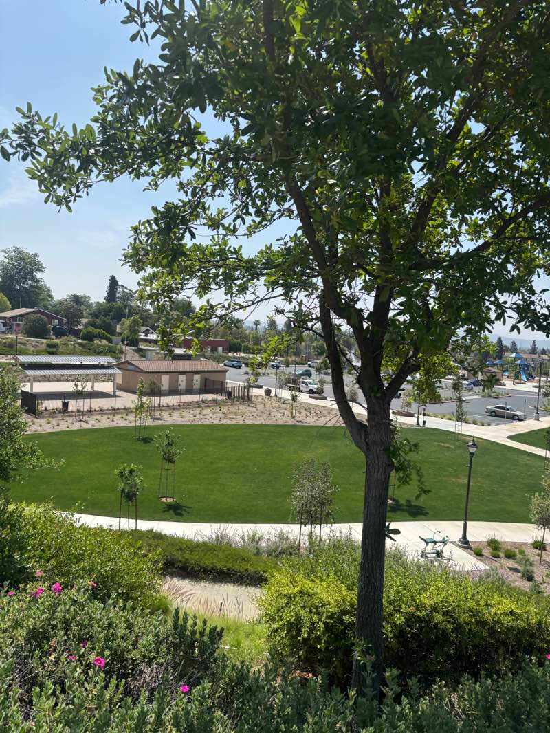 walking near me in Pioneer Park in spring