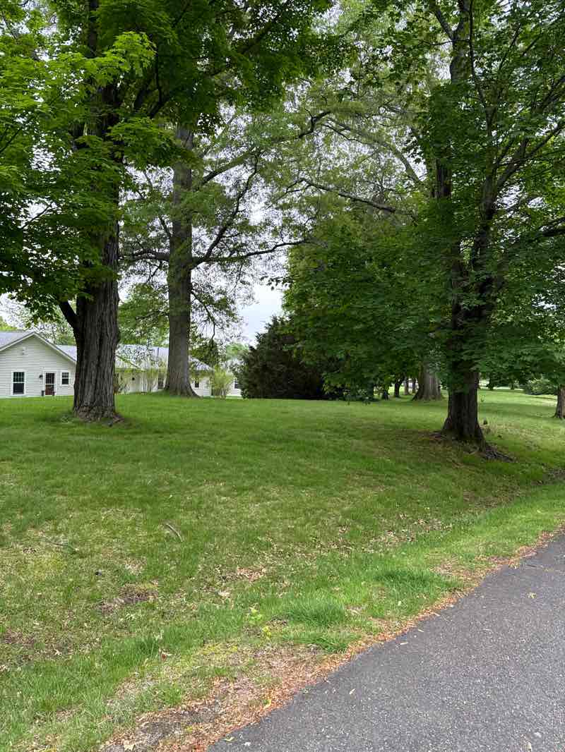 walking near me in Cushing Memorial Park in spring