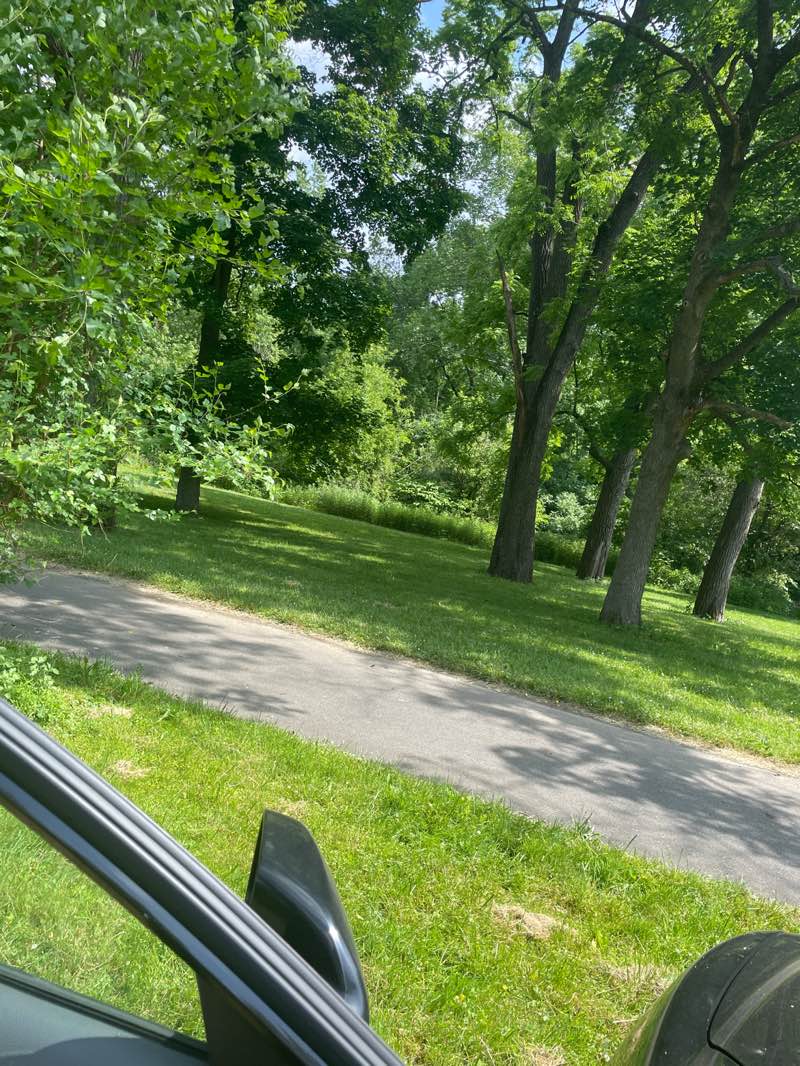 walking near me in Jordan Park West in summer