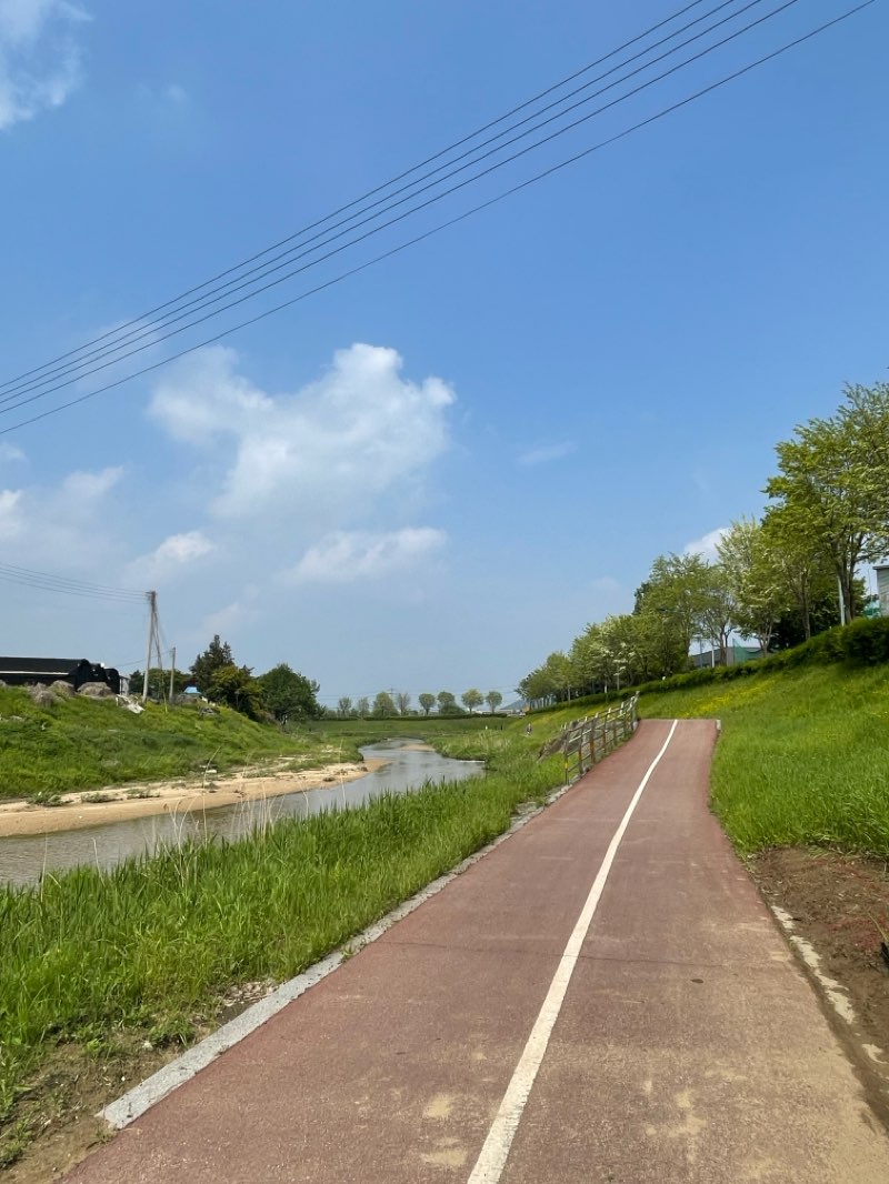 walking near me in SsamjiPark in spring