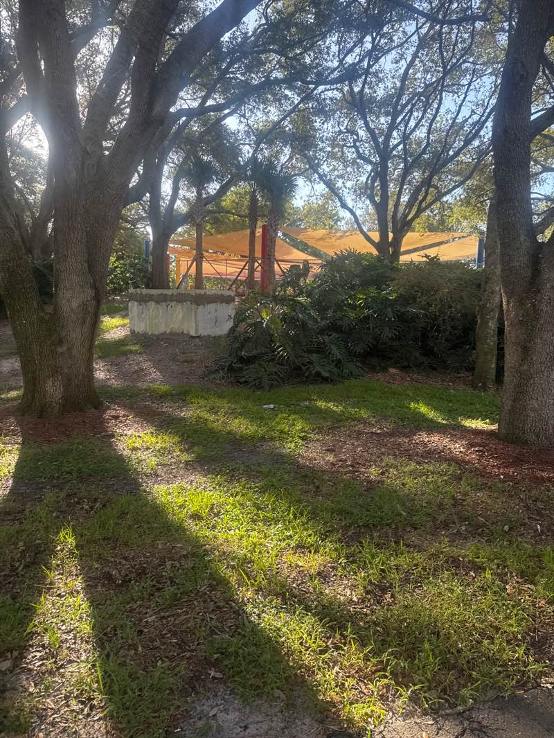 walking near me in Patch Reef Park in autumn