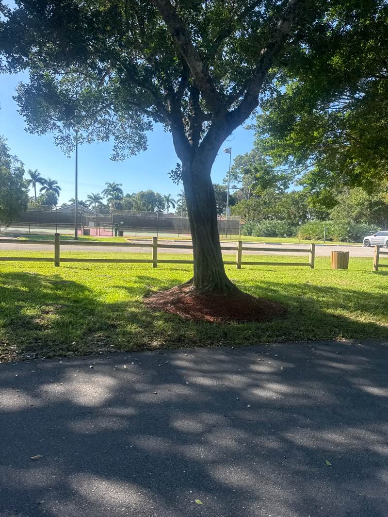 walking near me in University Woodlands Park in autumn