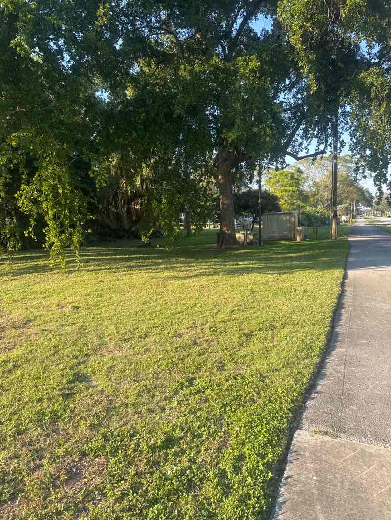walking near me in University Woodlands Park in winter
