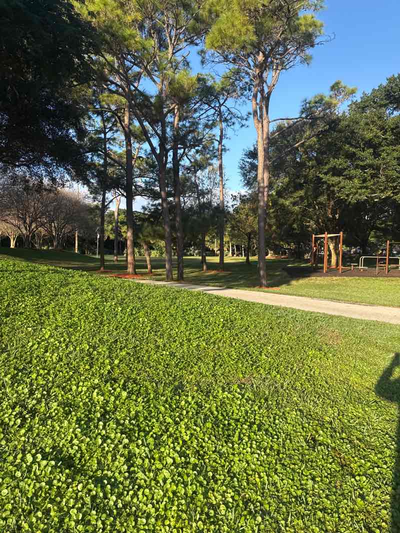 walking near me in Boca Tierra Park in winter