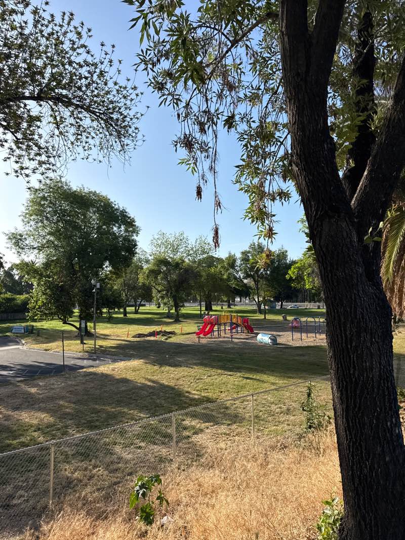 walking near me in Elmer Digneo Park in spring