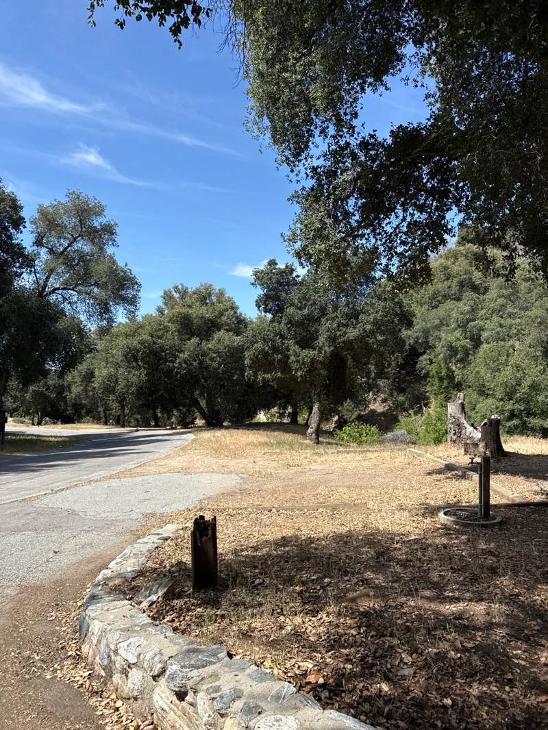 walking near me in Bogart County Park in spring