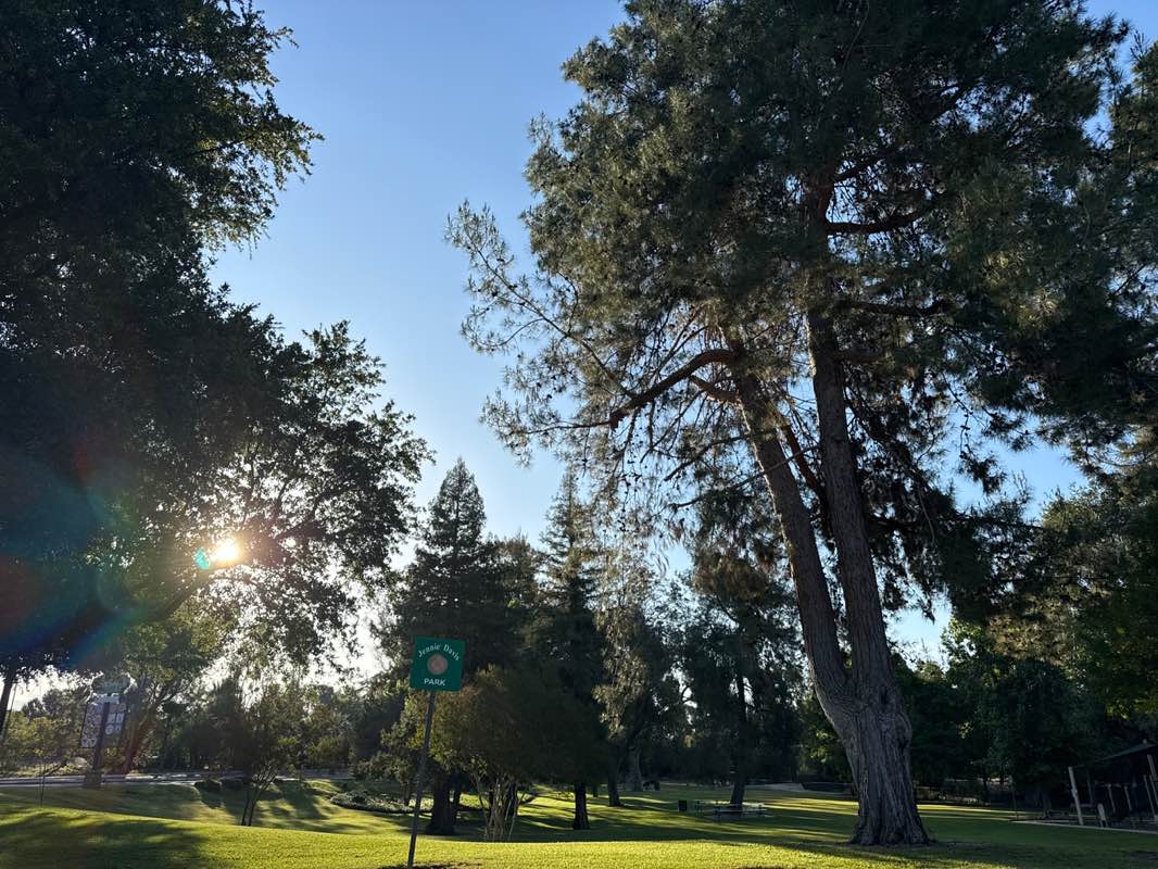 walking near me in Jennie Davis Park in summer