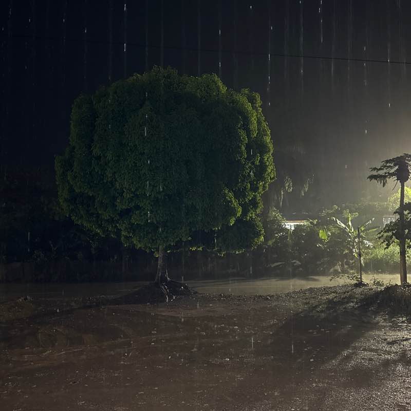 Arthur Augustine post 1